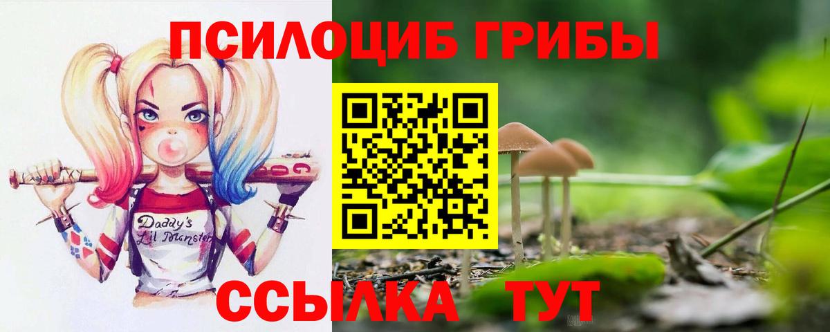 купить наркотики цена  Вход с VPN  Юрга  Псилоцибиновые грибы мицелий 